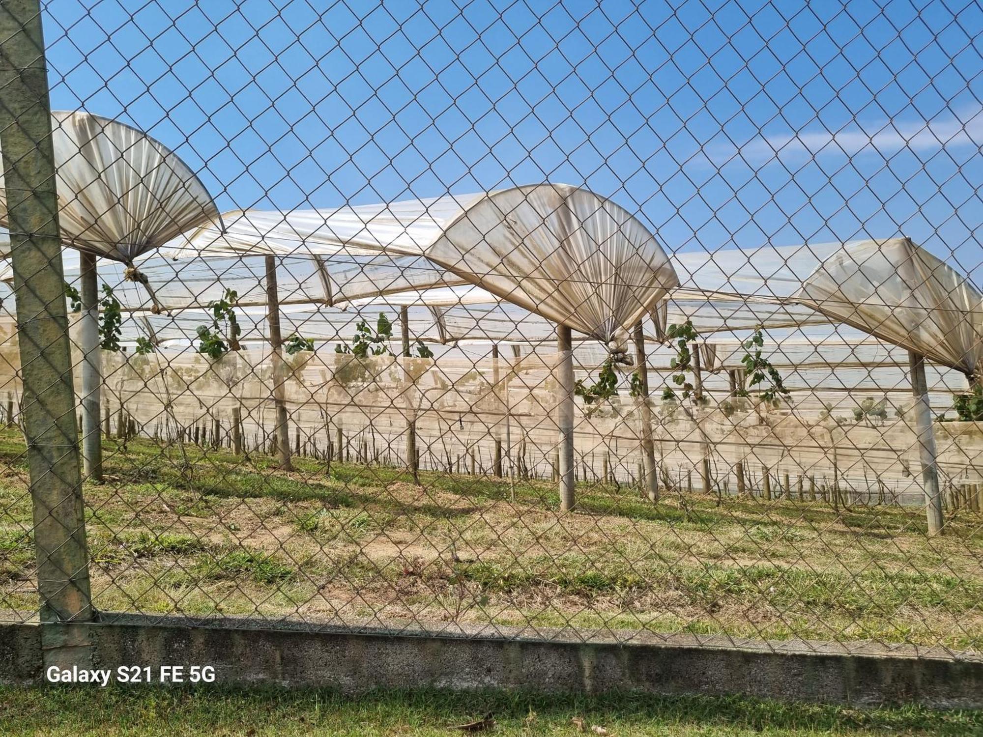Chacara Aquila Βίλα São Roque Εξωτερικό φωτογραφία