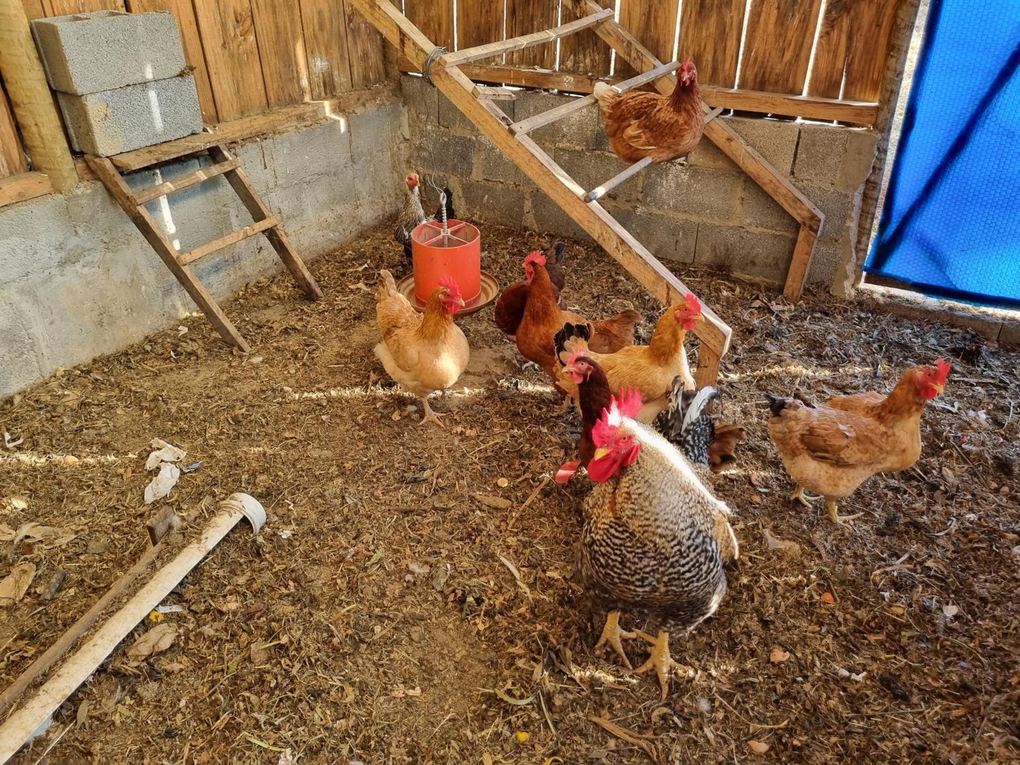 Chacara Aquila Βίλα São Roque Εξωτερικό φωτογραφία